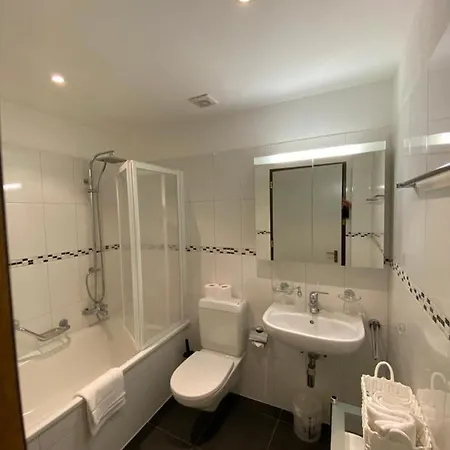 Centro Apartment Ascona