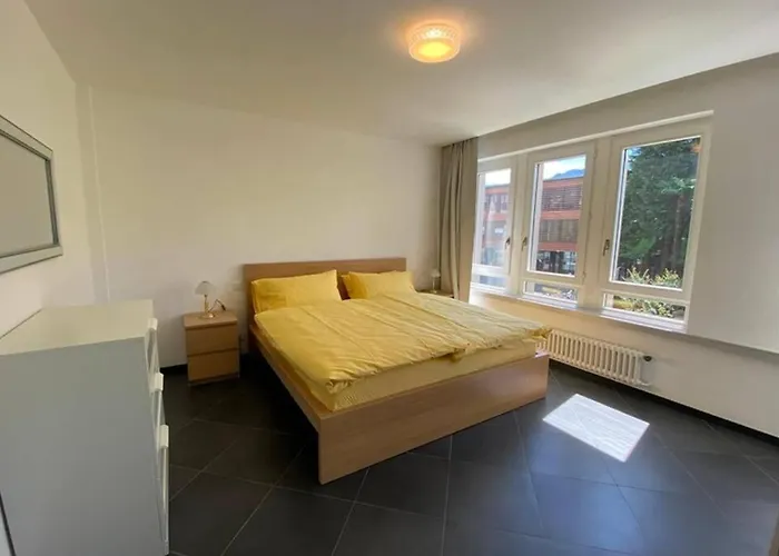 Centro Apartment Ascona